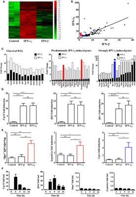 Identification of a Predominantly Interferon-λ-Induced Transcriptional Profile in Murine Intestinal Epithelial Cells